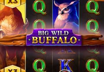 Слот Big Wild Buffalo в 1хБет казино