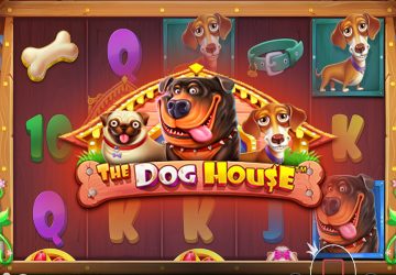 Слот The Dog House в 1хБет казино